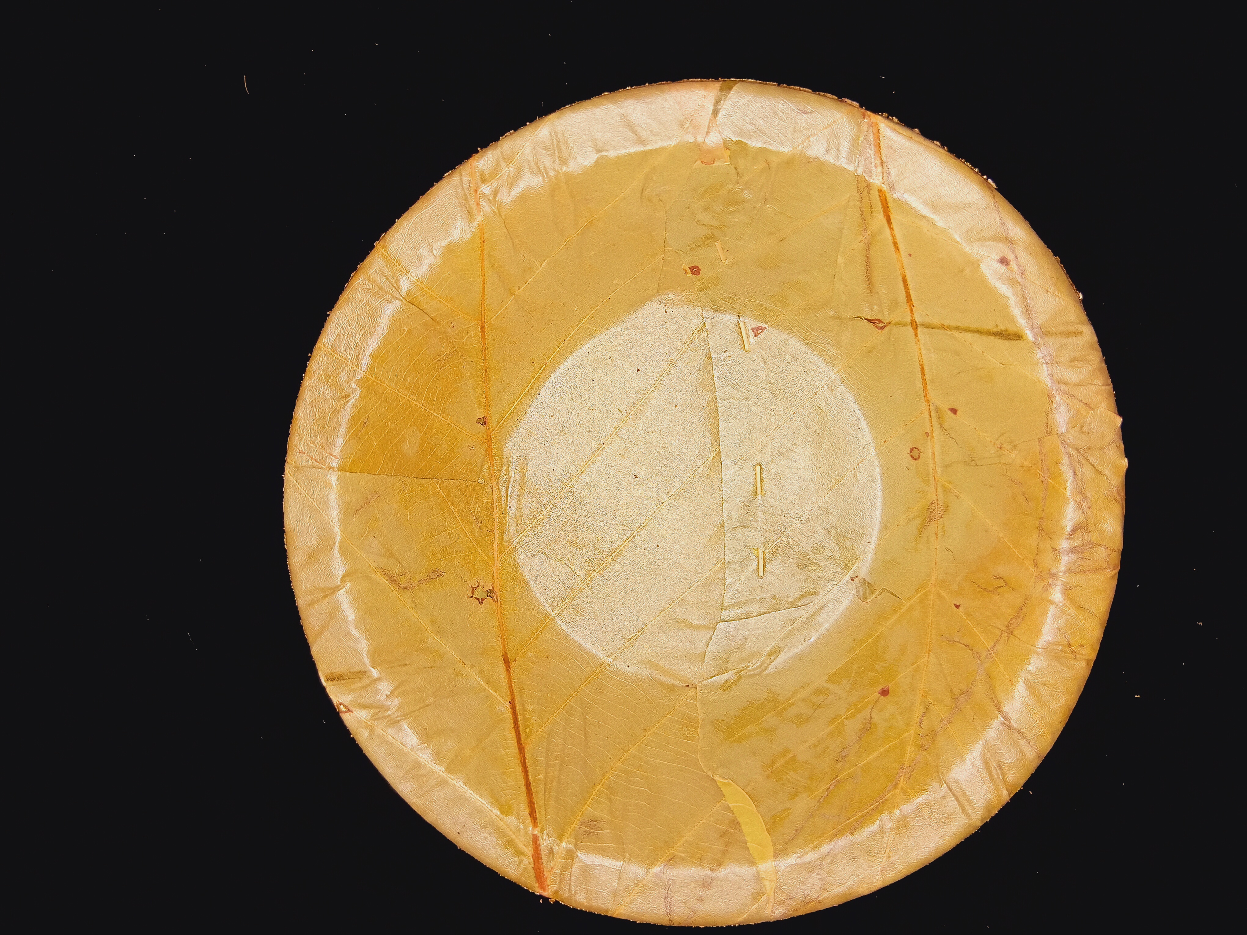 Plate 20cm H
